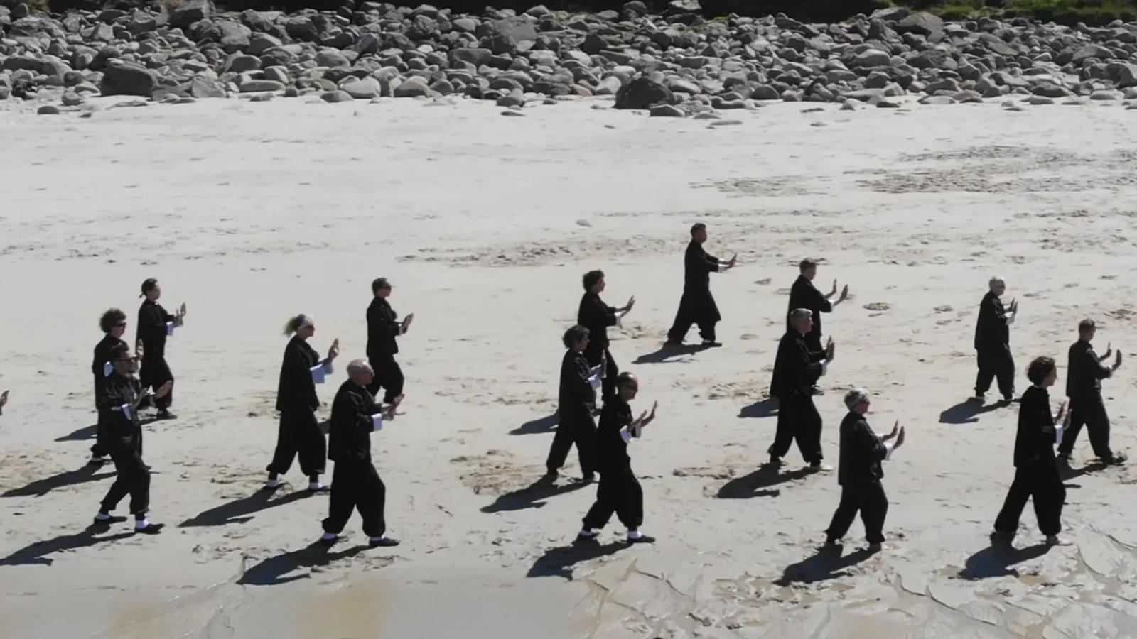 Tai Chi Summer Course