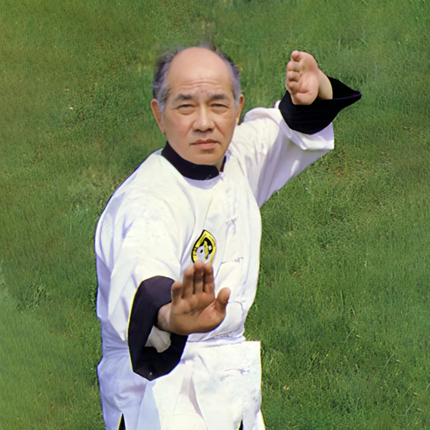 Chee Soo performing Tai Chi dance